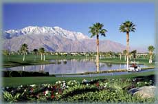 palm trees with view of mountain in palm springs